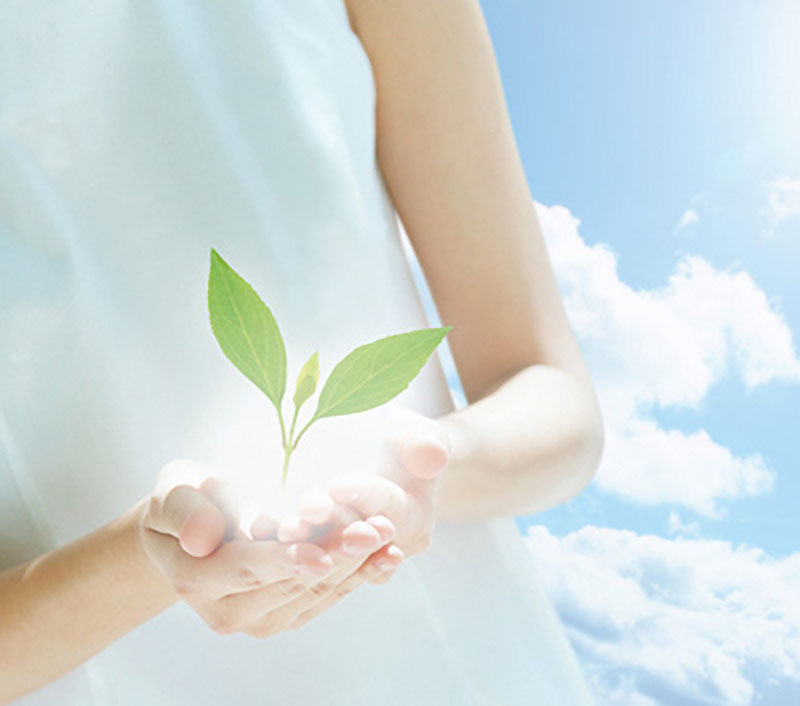 1561190692138174.jpg XUEXIAOTESE001.jpg