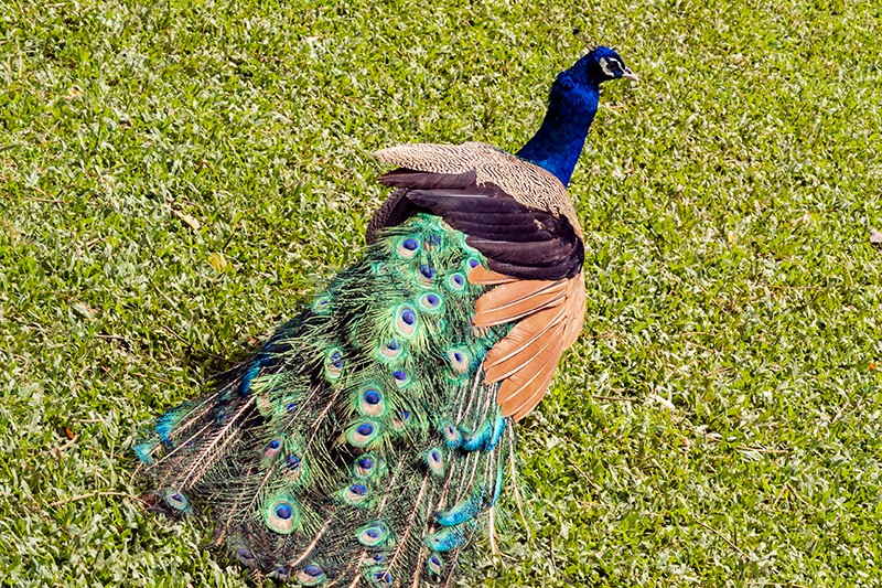 1684899857849256.jpg DSCN7275.jpg